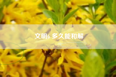 文明6 多久能和解