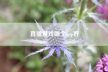 直播游戏哪个app好