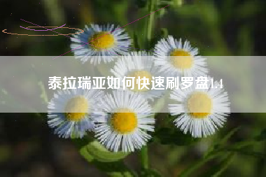 泰拉瑞亚如何快速刷罗盘1.4