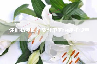 诛仙私发网：战斗中的伪装和侦查