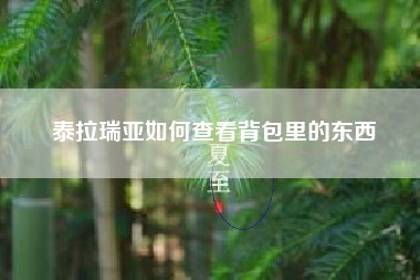 泰拉瑞亚如何查看背包里的东西