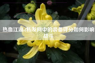 热血江湖sf私发网中的装备评分如何影响战斗