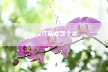 ipad打游戏哪个爽