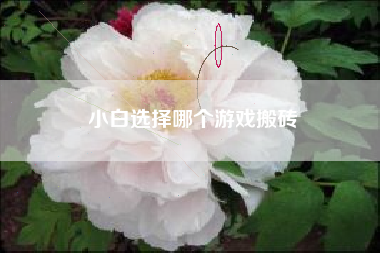 小白选择哪个游戏搬砖