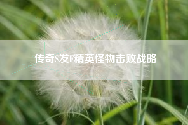 传奇S发F精英怪物击败战略