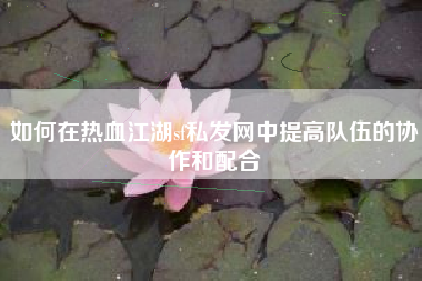 如何在热血江湖sf私发网中提高队伍的协作和配合