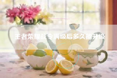 王者荣耀战令满级后多久能升级