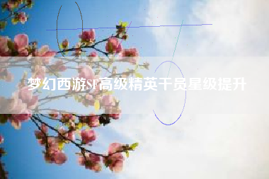 梦幻西游SF高级精英干员星级提升