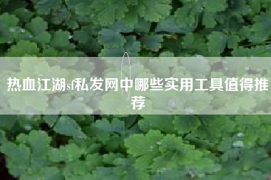 热血江湖sf私发网中哪些实用工具值得推荐