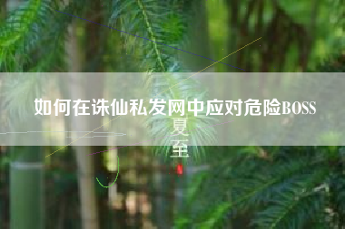 如何在诛仙私发网中应对危险BOSS