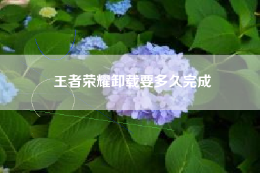 王者荣耀卸载要多久完成