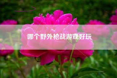 哪个野外枪战游戏好玩