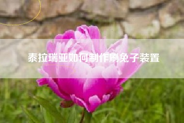 泰拉瑞亚如何制作刷兔子装置