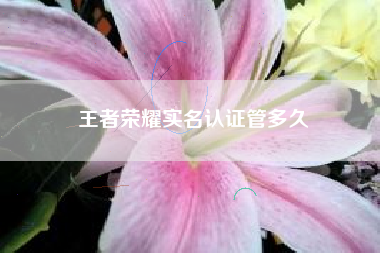 王者荣耀实名认证管多久