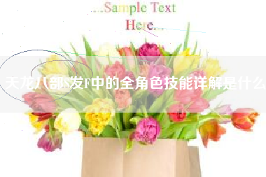 天龙八部S发F中的全角色技能详解是什么