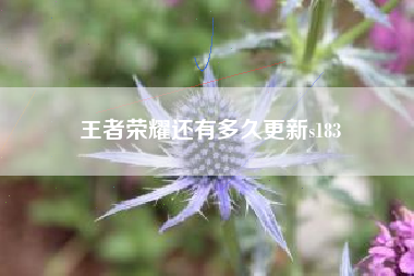 王者荣耀还有多久更新s183