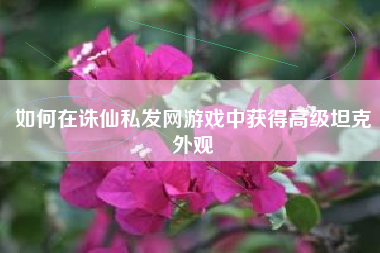 如何在诛仙私发网游戏中获得高级坦克外观