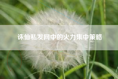 诛仙私发网中的火力集中策略
