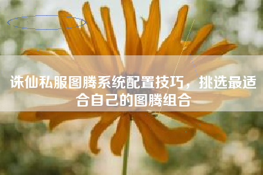 诛仙私服图腾系统配置技巧，挑选最适合自己的图腾组合