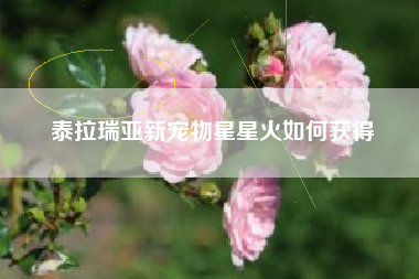 泰拉瑞亚新宠物星星火如何获得