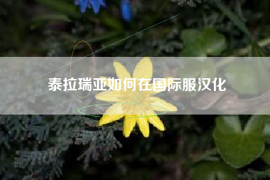 泰拉瑞亚如何在国际服汉化