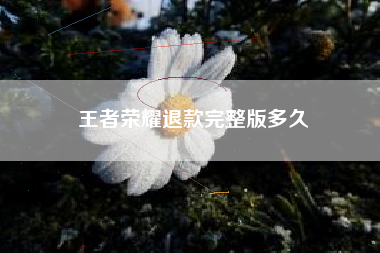 王者荣耀退款完整版多久