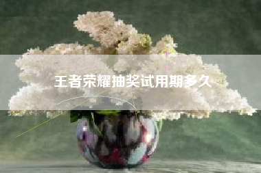王者荣耀抽奖试用期多久