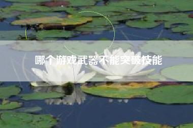 哪个游戏武器不能突破技能