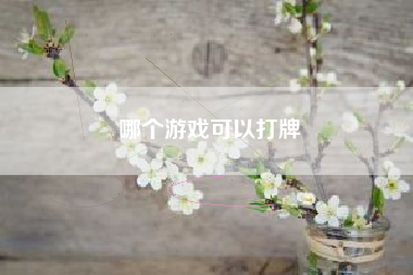 哪个游戏可以打牌
