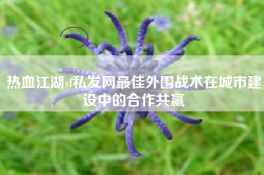 热血江湖sf私发网最佳外围战术在城市建设中的合作共赢