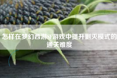 怎样在梦幻西游SF游戏中提升剿灭模式的通关难度