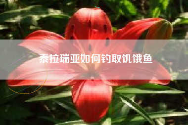 泰拉瑞亚如何钓取饥饿鱼