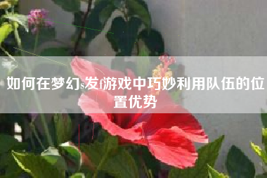 如何在梦幻s发f游戏中巧妙利用队伍的位置优势