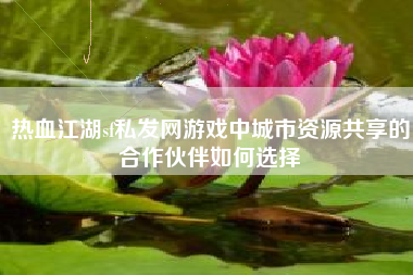 热血江湖sf私发网游戏中城市资源共享的合作伙伴如何选择