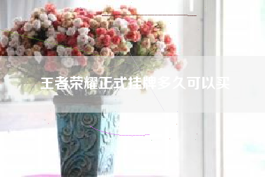 王者荣耀正式挂牌多久可以买