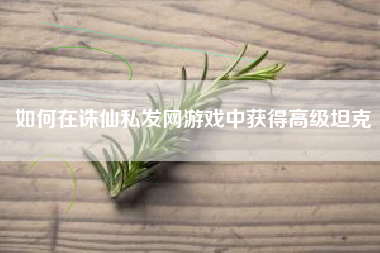 如何在诛仙私发网游戏中获得高级坦克