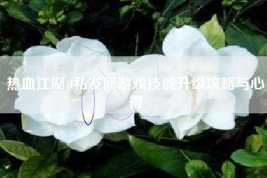 热血江湖sf私发网游戏技能升级攻略与心得
