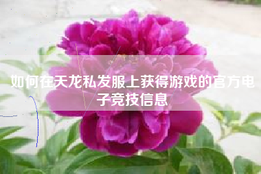 如何在天龙私发服上获得游戏的官方电子竞技信息