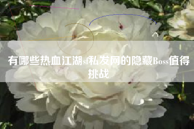 有哪些热血江湖sf私发网的隐藏Boss值得挑战