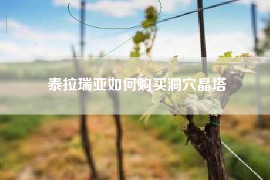 泰拉瑞亚如何购买洞穴晶塔