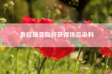 泰拉瑞亚如何获得饰品染料