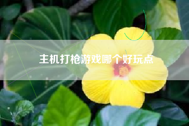 主机打枪游戏哪个好玩点