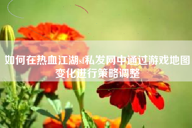 如何在热血江湖sf私发网中通过游戏地图变化进行策略调整