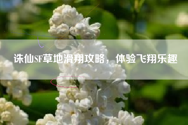 诛仙SF草地滑翔攻略，体验飞翔乐趣