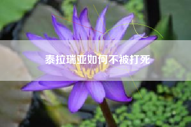 泰拉瑞亚如何不被打死
