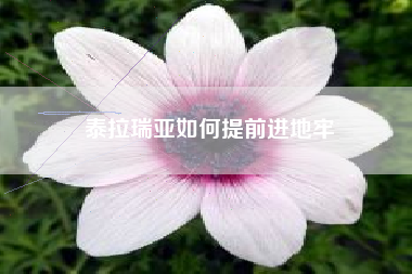 泰拉瑞亚如何提前进地牢