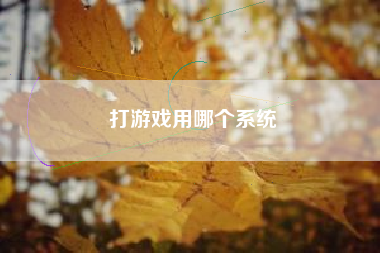 打游戏用哪个系统