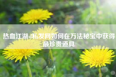 热血江湖sf私发网如何在万法秘宝中获得最珍贵道具