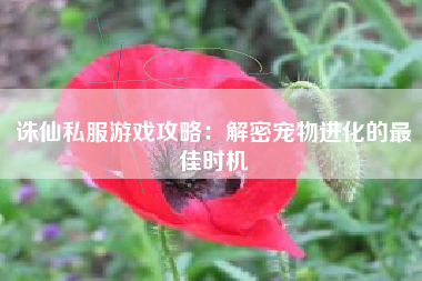 诛仙私服游戏攻略：解密宠物进化的最佳时机