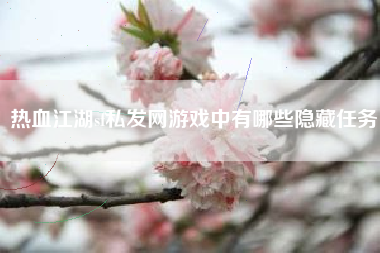 热血江湖sf私发网游戏中有哪些隐藏任务